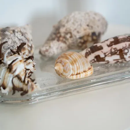 Casa Do Porto * Ангра-ду-Эроижму